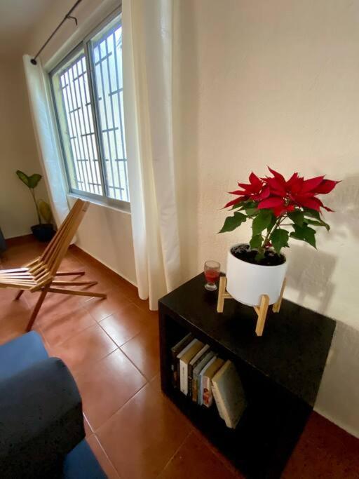 Peach35 Apartamento Centrico, 5 Min De La Playa แคนคูน ภายนอก รูปภาพ